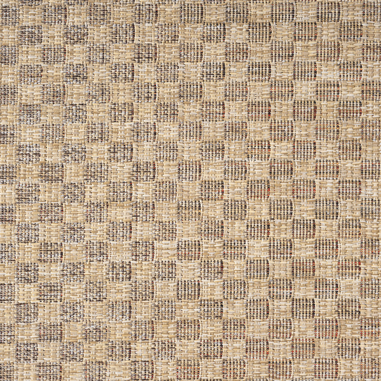 Venice Premium Runner